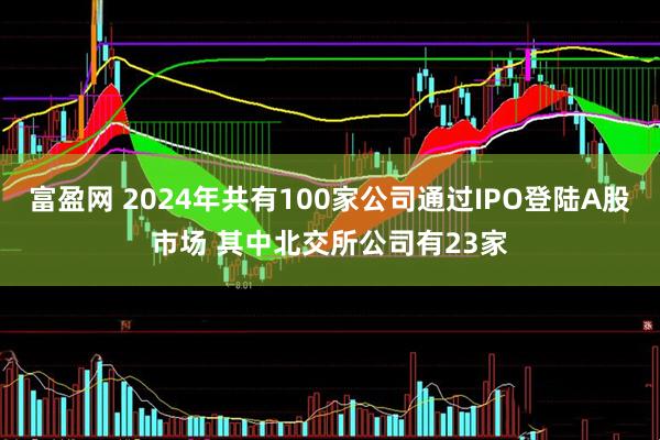 富盈网 2024年共有100家公司通过IPO登陆A股市场 其中北交所公司有23家