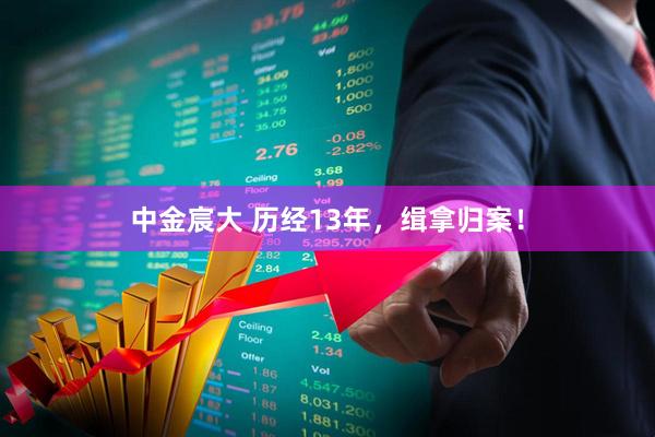 中金宸大 历经13年，缉拿归案！