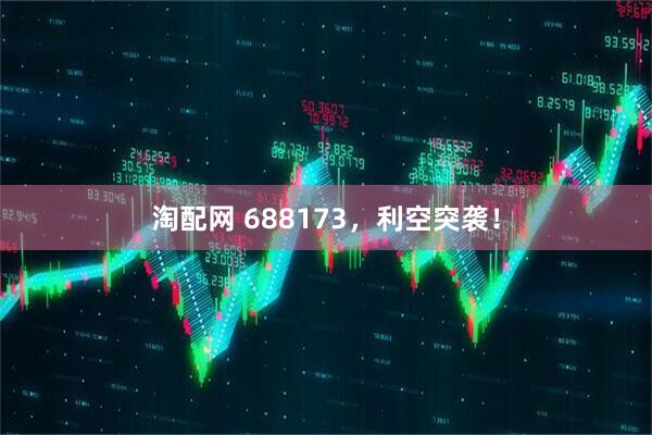 淘配网 688173，利空突袭！