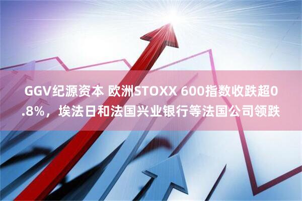 GGV纪源资本 欧洲STOXX 600指数收跌超0.8%，埃法日和法国兴业银行等法国公司领跌