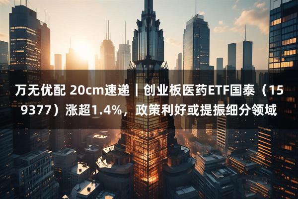 万无优配 20cm速递｜创业板医药ETF国泰（159377）涨超1.4%，政策利好或提振细分领域
