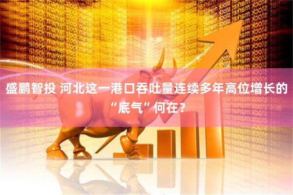 盛鹏智投 河北这一港口吞吐量连续多年高位增长的“底气”何在？