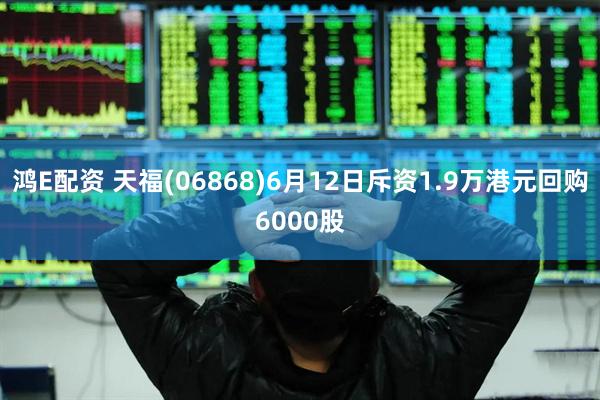 鸿E配资 天福(06868)6月12日斥资1.9万港元回购6000股